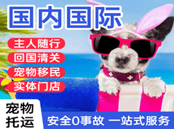 若羌楼兰机场快运国际宠物托运 【国